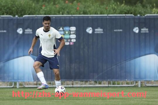 完美体育官方入口-意甲足球队员名单汇总:重点球员表现与身价排行