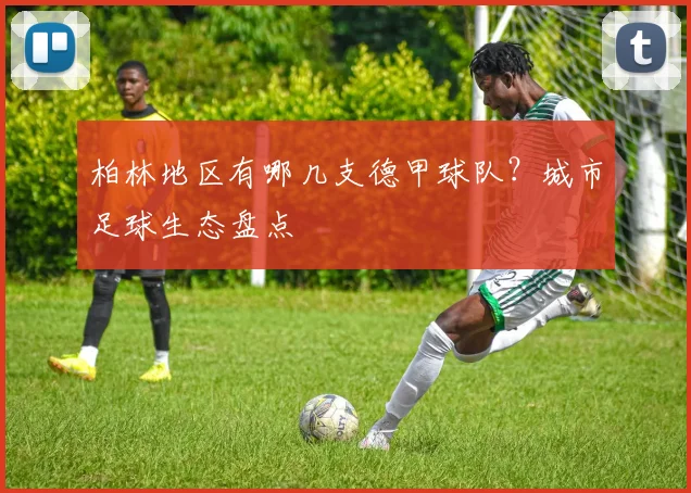 柏林地区有哪几支德甲球队？城市足球生态盘点