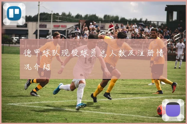 德甲球队现役球员总人数及注册情况介绍