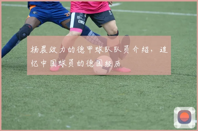 杨晨效力的德甲球队队员介绍,追忆中国球员的德国经历