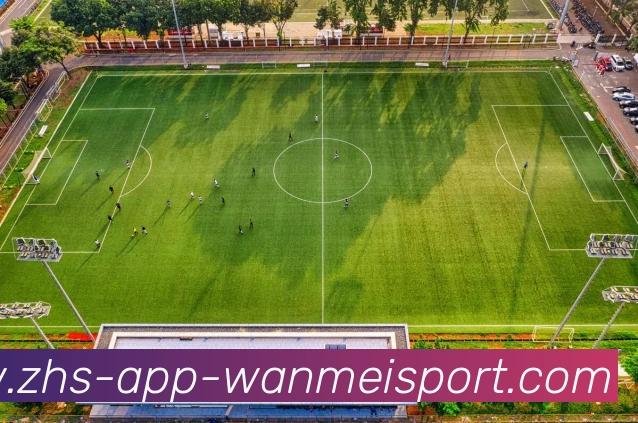 完美体育平台生态图